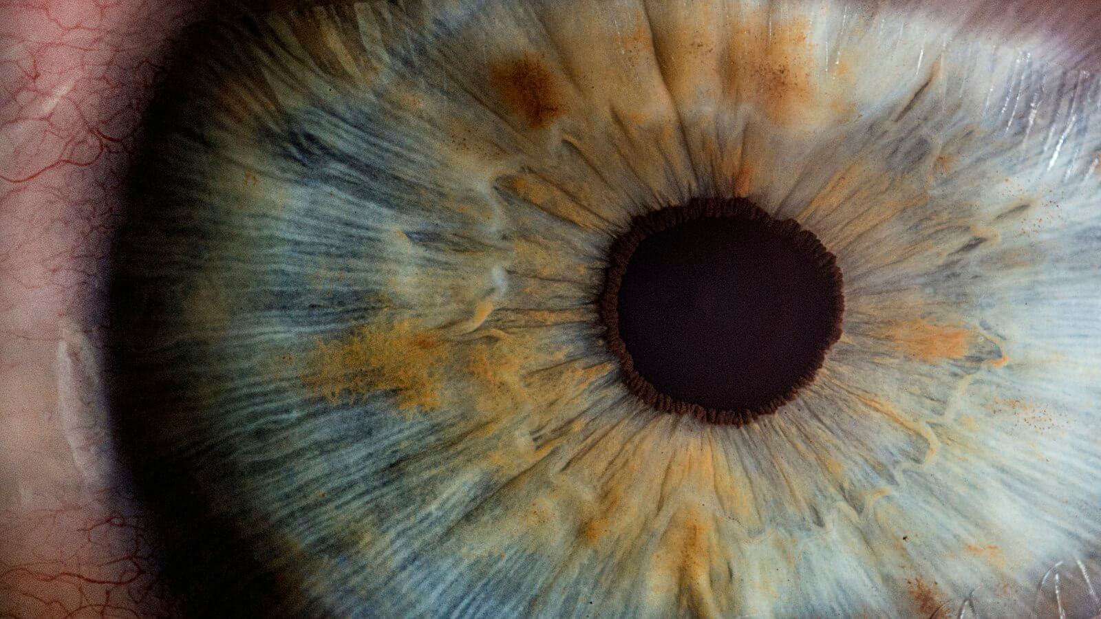 Extreme close-up of a human eye showing the iris and pupil