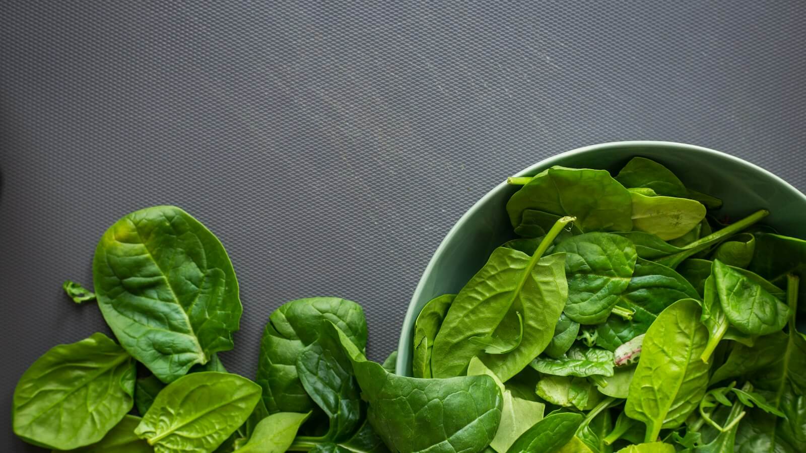 Fresh spinach leaves in and around a green bowl