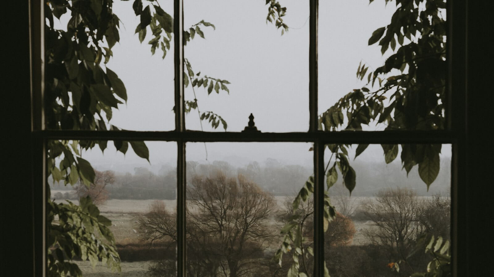 Misty countryside seen through an old window