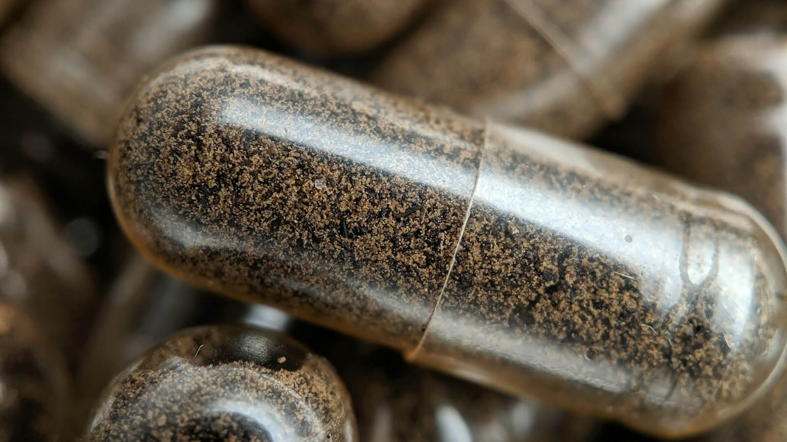 Close-up of herbal supplement capsules filled with brown powder